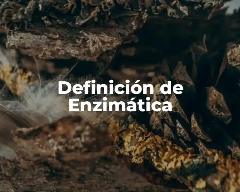 Definición de Enzimática