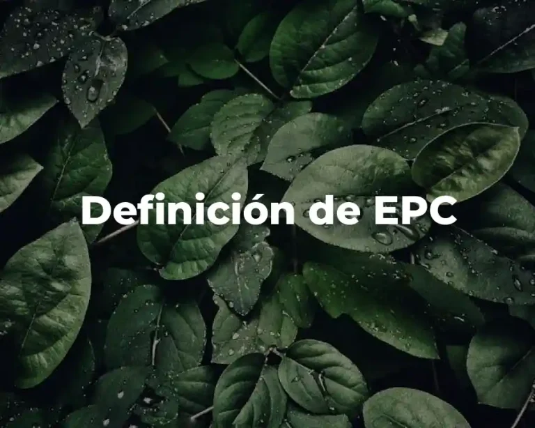 Definición de EPC