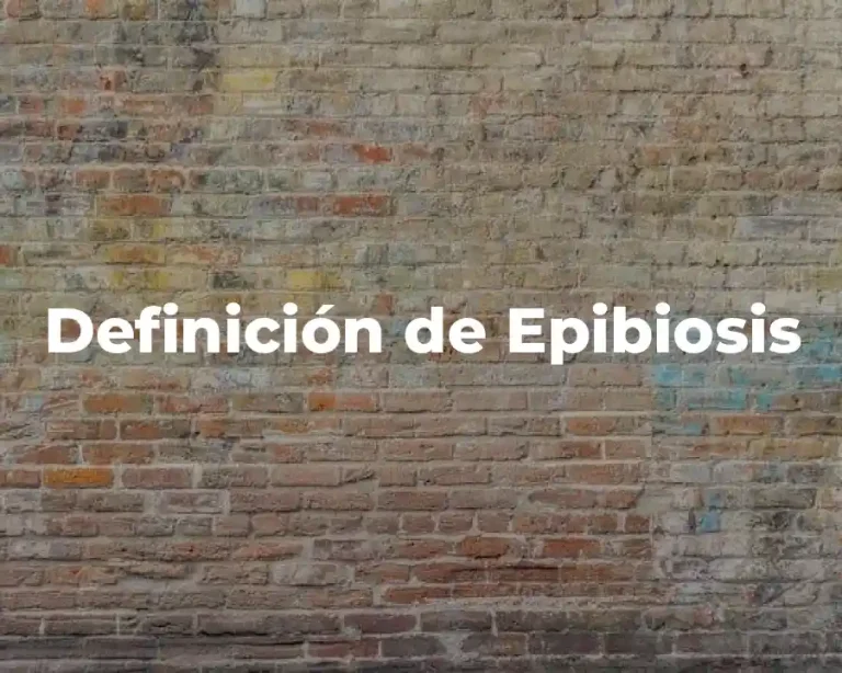 Definición de Epibiosis