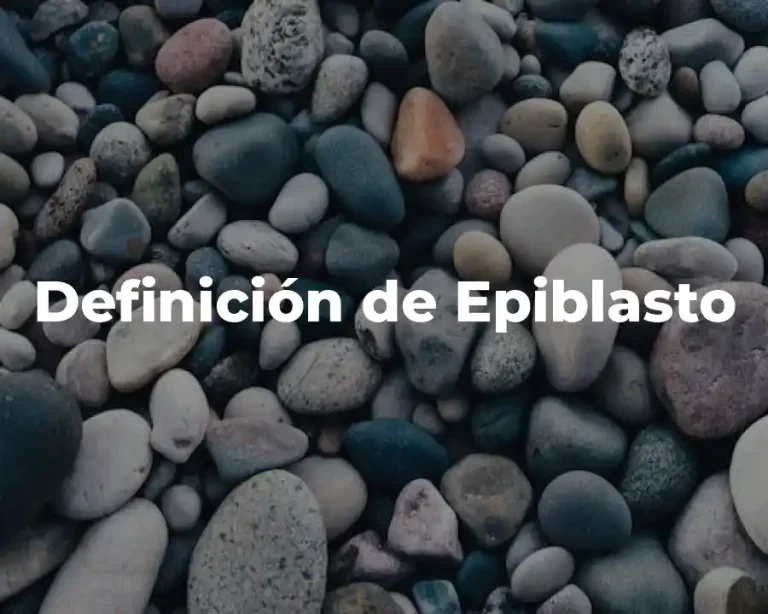 Definición de Epiblasto