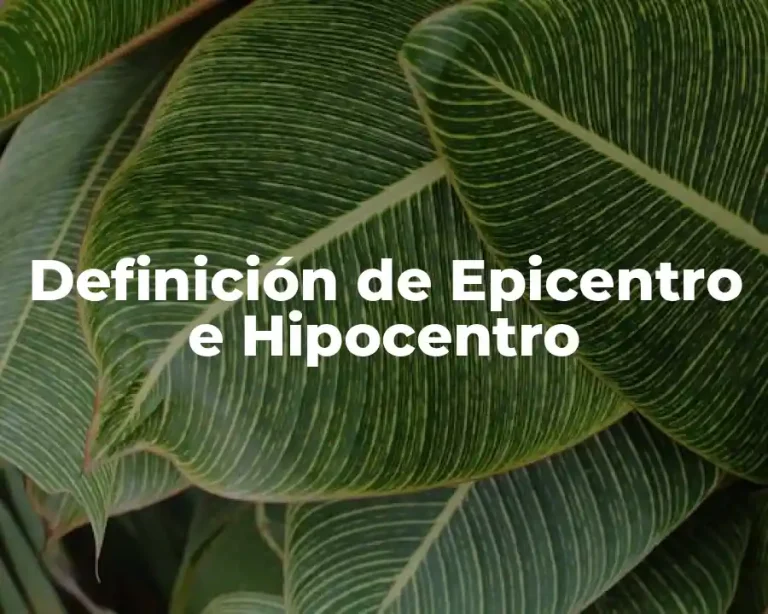 Definición de Epicentro e Hipocentro