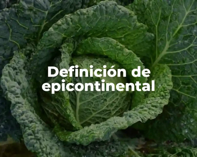 Definición de epicontinental