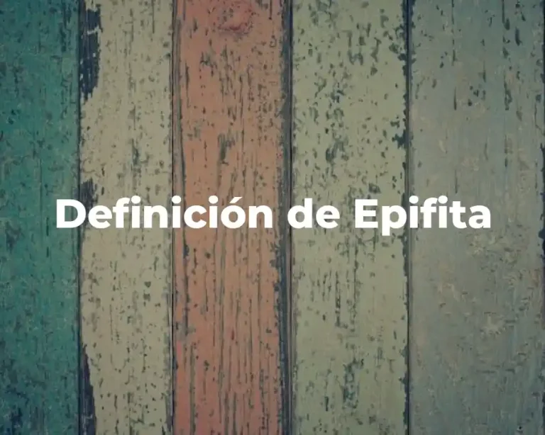 Definición de Epifita