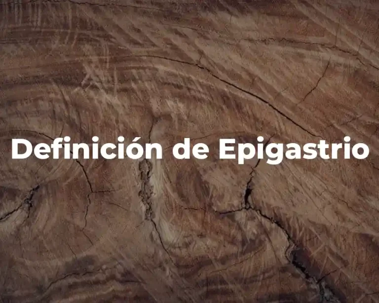 Definición de Epigastrio