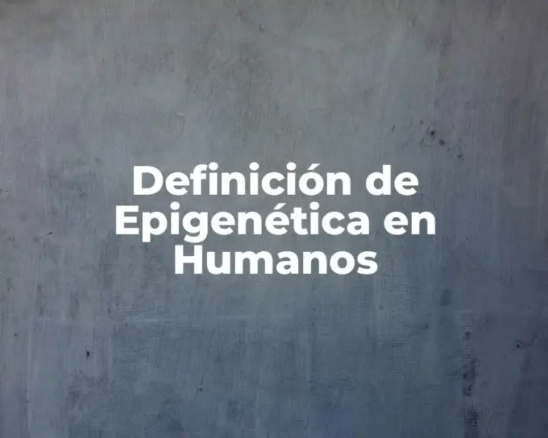 Definición de Epigenética en Humanos