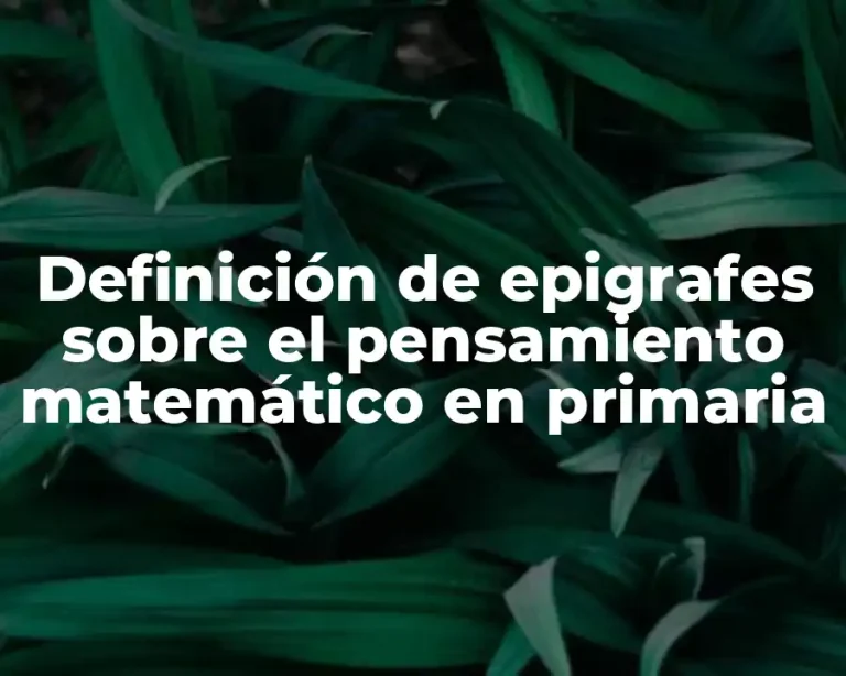 Definición de epigrafes sobre el pensamiento matemático en primaria