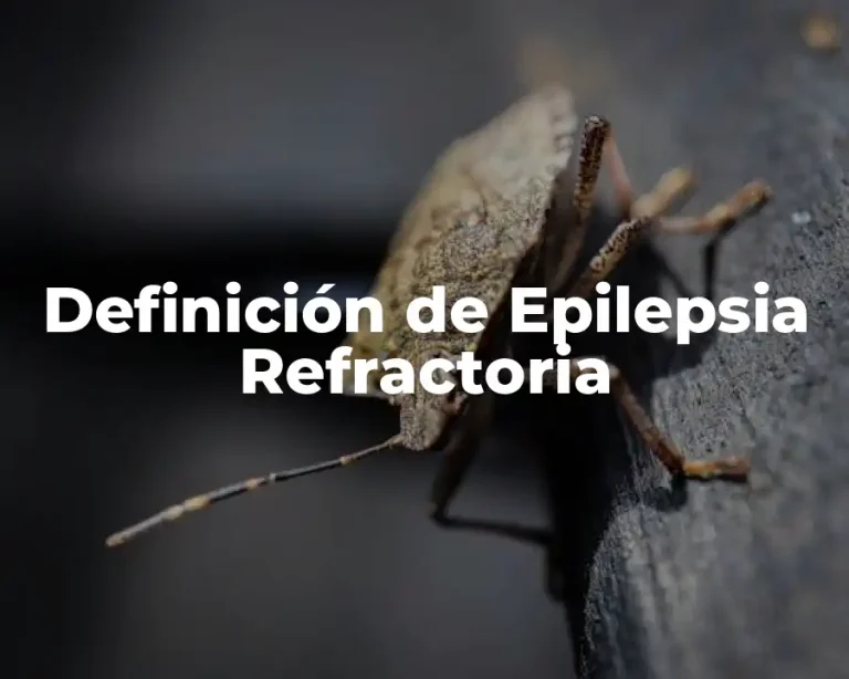 Definición de Epilepsia Refractoria