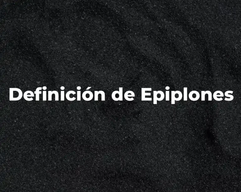 Definición de Epiplones