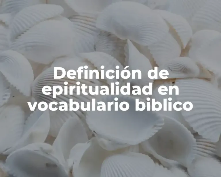 Definición de epiritualidad en vocabulario biblico