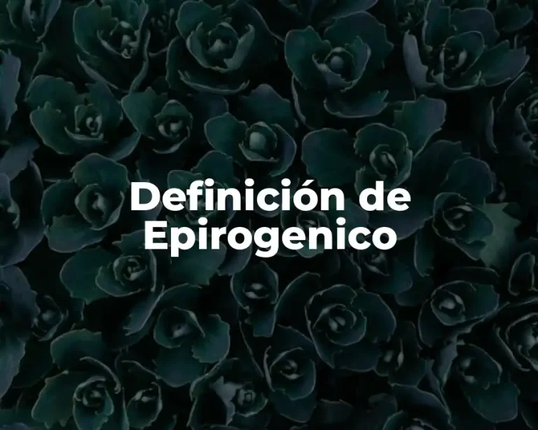 Definición de Epirogenico