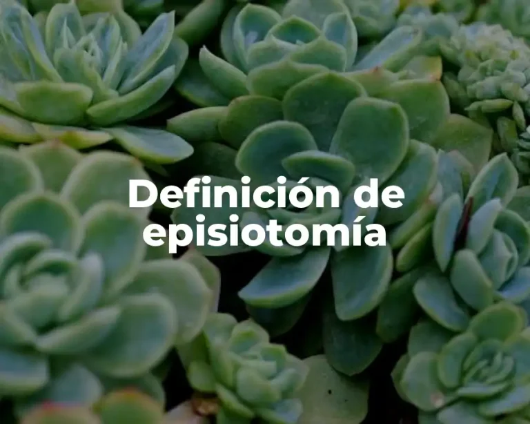 Definición de episiotomía