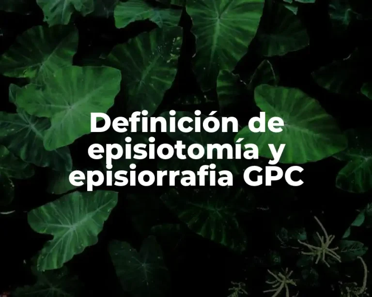 Definición de episiotomía y episiorrafia GPC