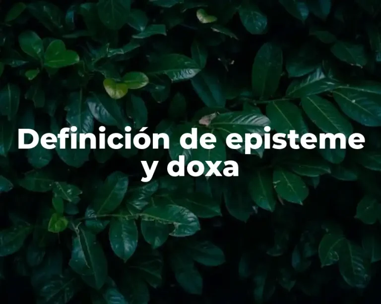 Definición de episteme y doxa