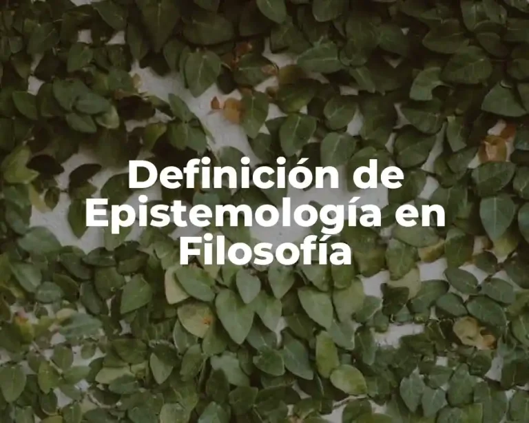 Definición de Epistemología en Filosofía