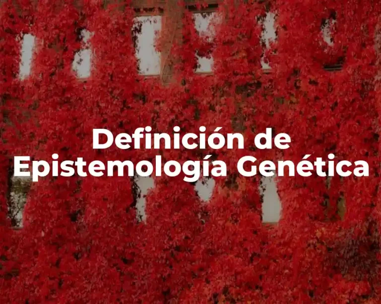 Definición de Epistemología Genética