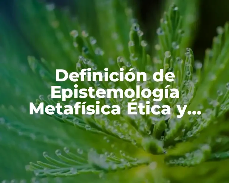 Definición de Epistemología Metafísica Ética y Lógica