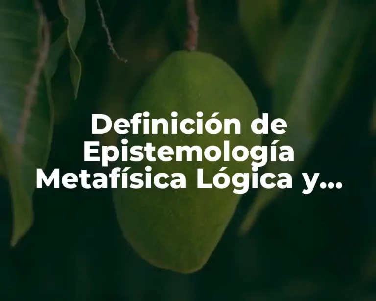 Definición de Epistemología Metafísica Lógica y Ética