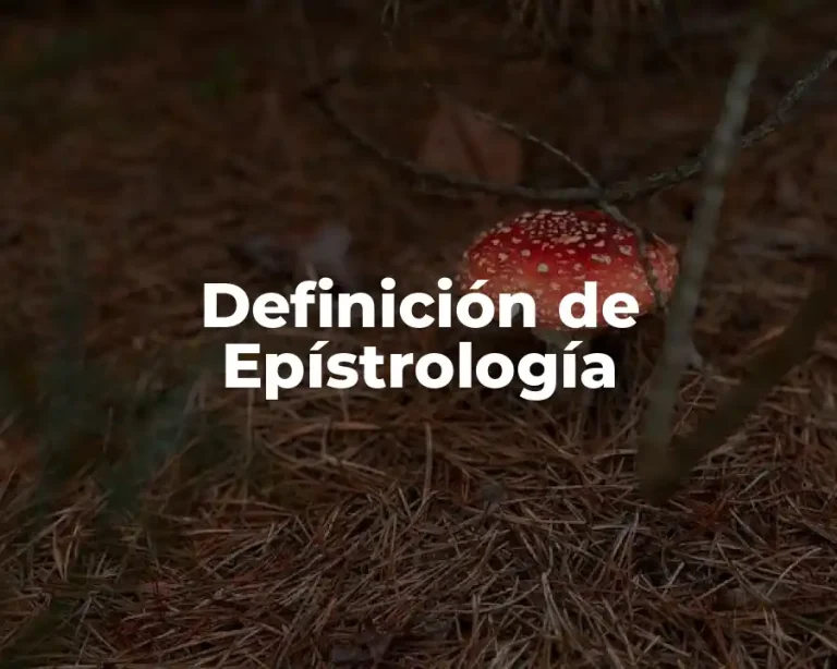 Definición de Epístrología