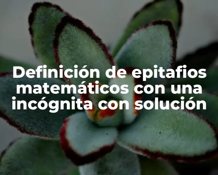 Definición de epitafios matemáticos con una incógnita con solución