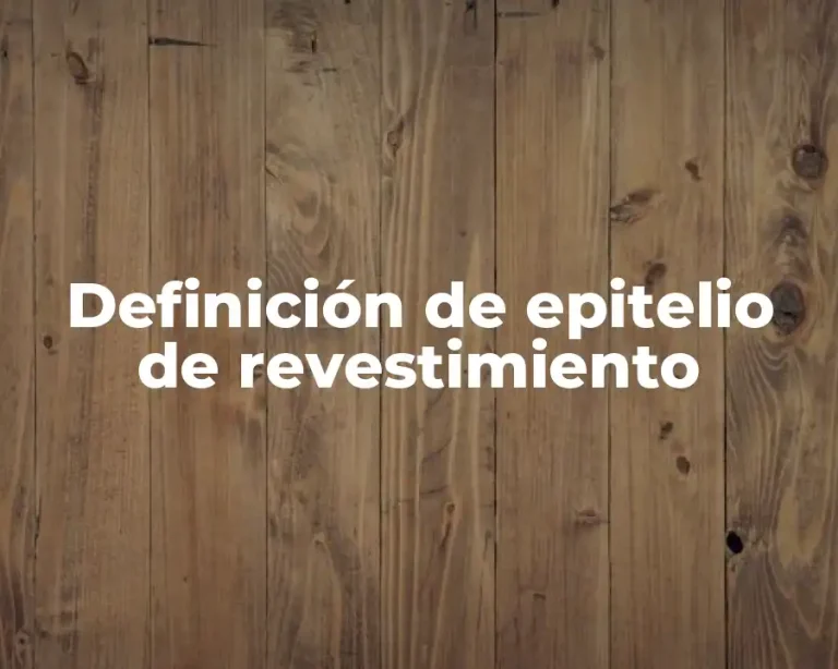 Definición de epitelio de revestimiento