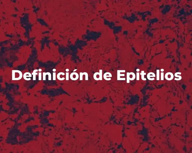 Definición de Epitelios