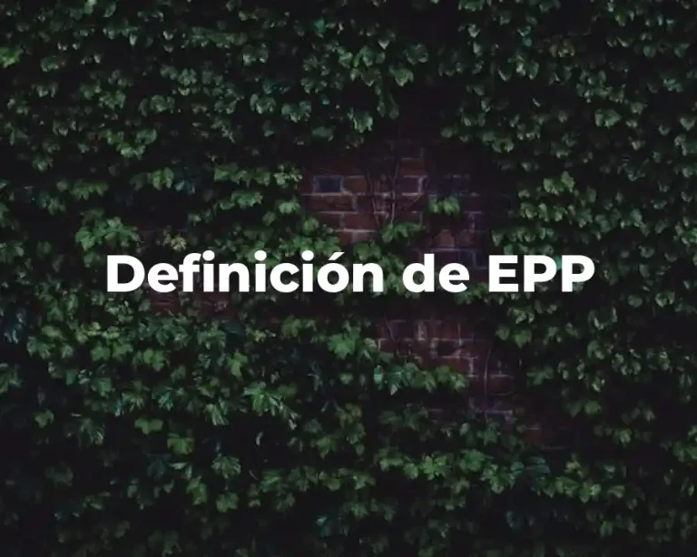 Definición de EPP