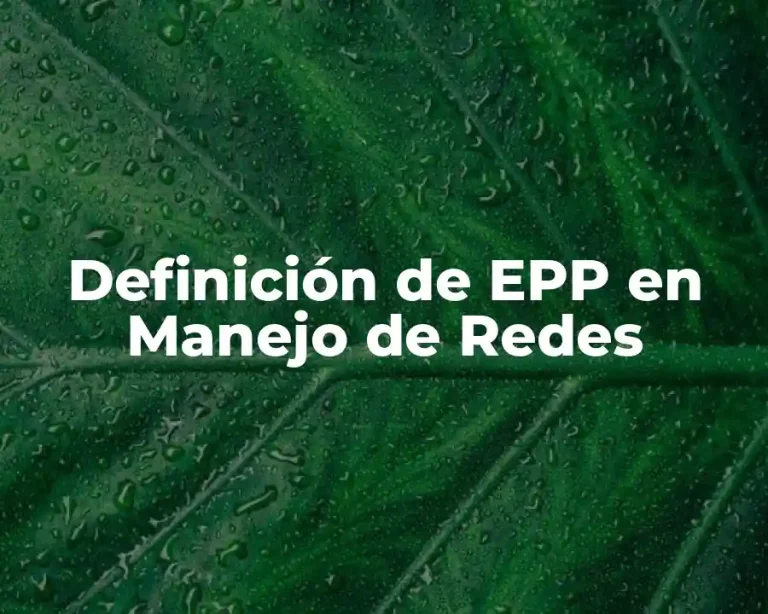 Definición de EPP en Manejo de Redes