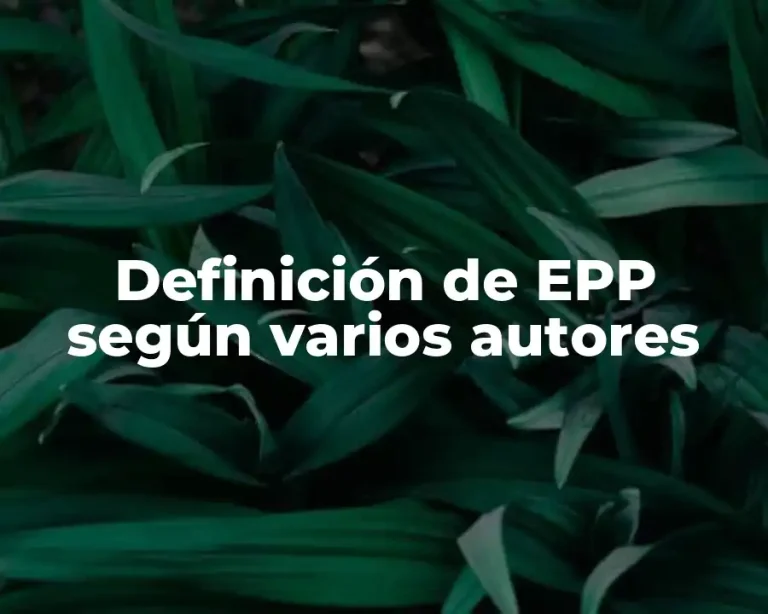 Definición de EPP según varios autores