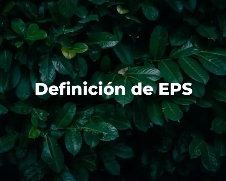 Definición de EPS