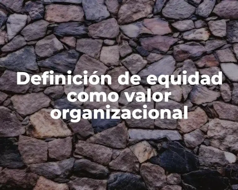 Definición de equidad como valor organizacional