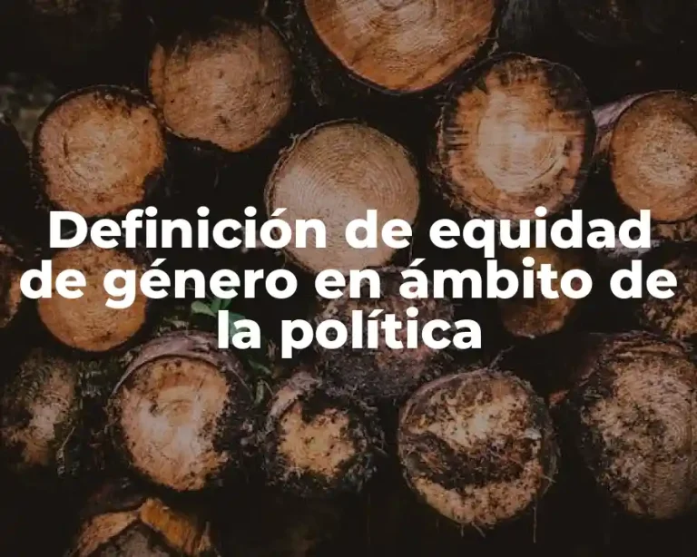 Definición de equidad de género en ámbito de la política