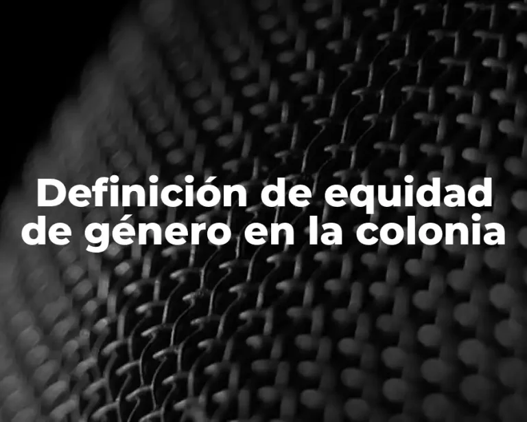 Definición de equidad de género en la colonia