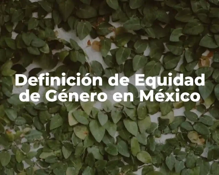 Definición de Equidad de Género en México