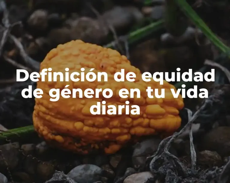 Definición de equidad de género en tu vida diaria