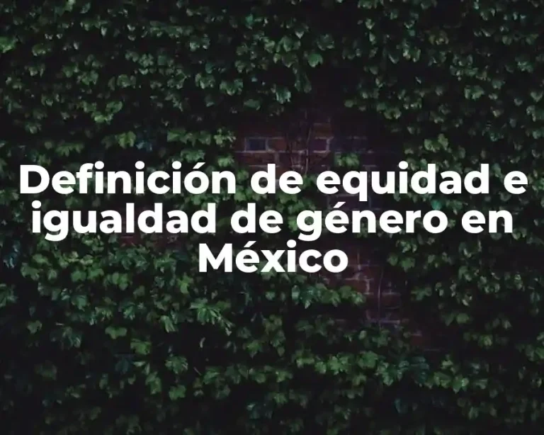 Definición de equidad e igualdad de género en México