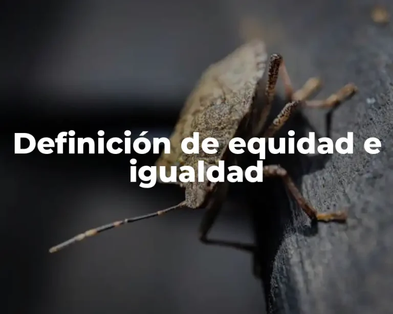 Definición de equidad e igualdad