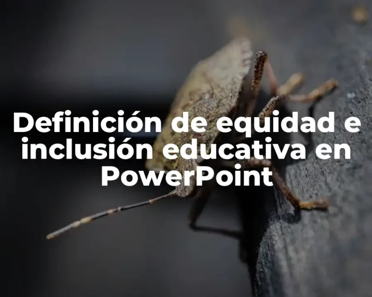 Definición de equidad e inclusión educativa en PowerPoint