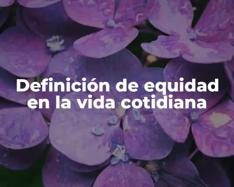 Definición de equidad en la vida cotidiana