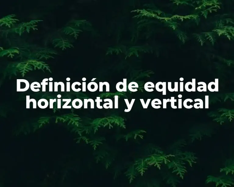 Definición de equidad horizontal y vertical