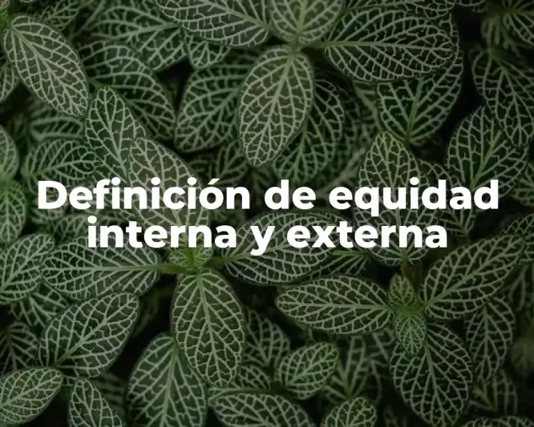 Definición de equidad interna y externa