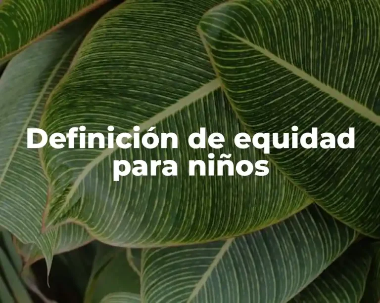 Definición de equidad para niños
