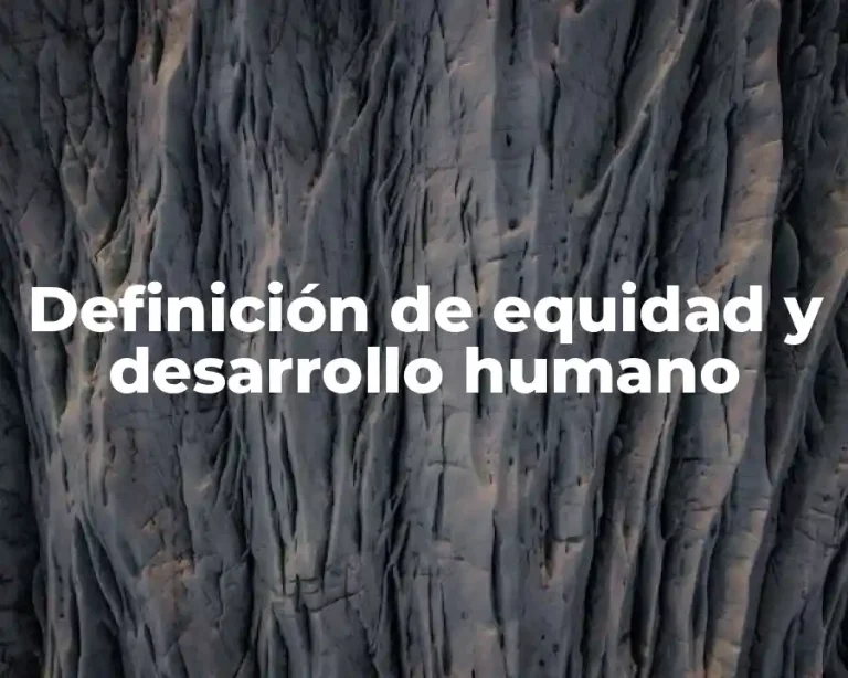 Definición de equidad y desarrollo humano