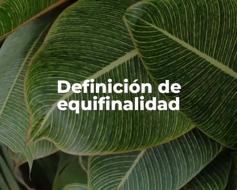 Definición de equifinalidad