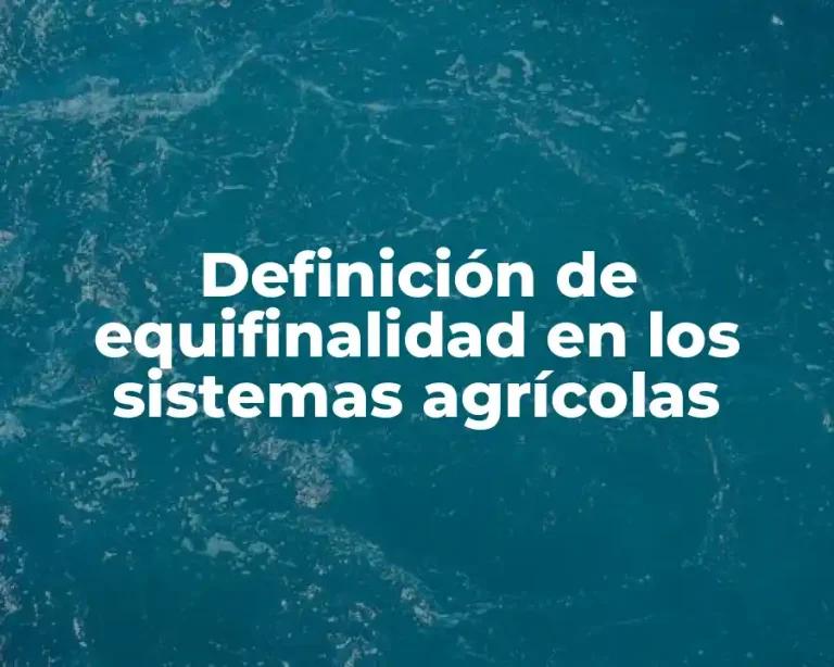 Definición de equifinalidad en los sistemas agrícolas