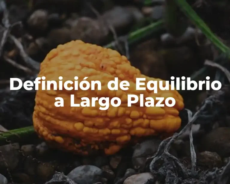 Definición de Equilibrio a Largo Plazo