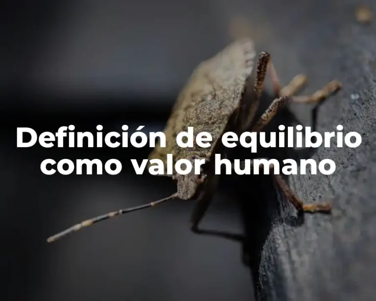 Definición de equilibrio como valor humano