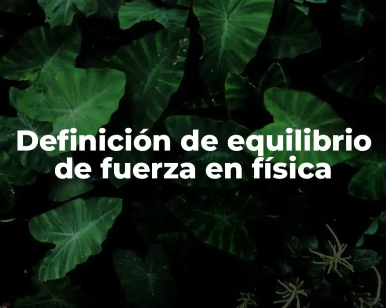 Definición de equilibrio de fuerza en física