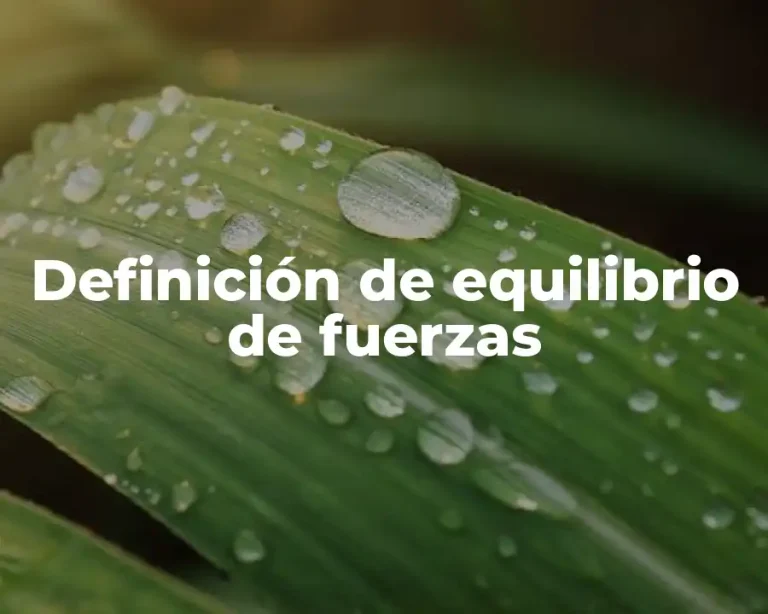 Definición de equilibrio de fuerzas
