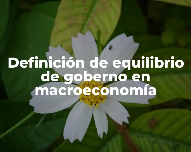 Definición de equilibrio de goberno en macroeconomía