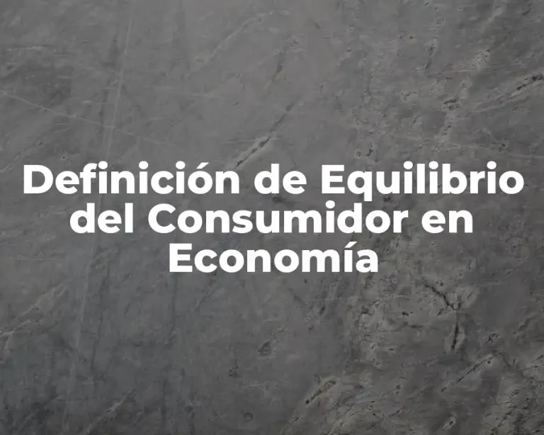 Definición de Equilibrio del Consumidor en Economía